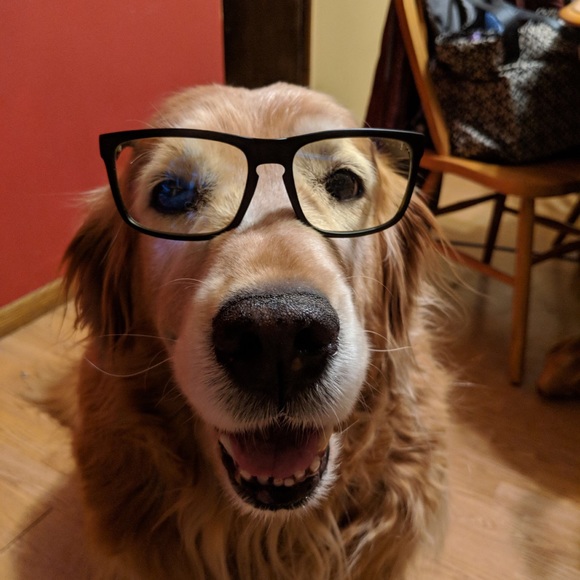 Meet your Posher, Dawn - Picture 5 of 10